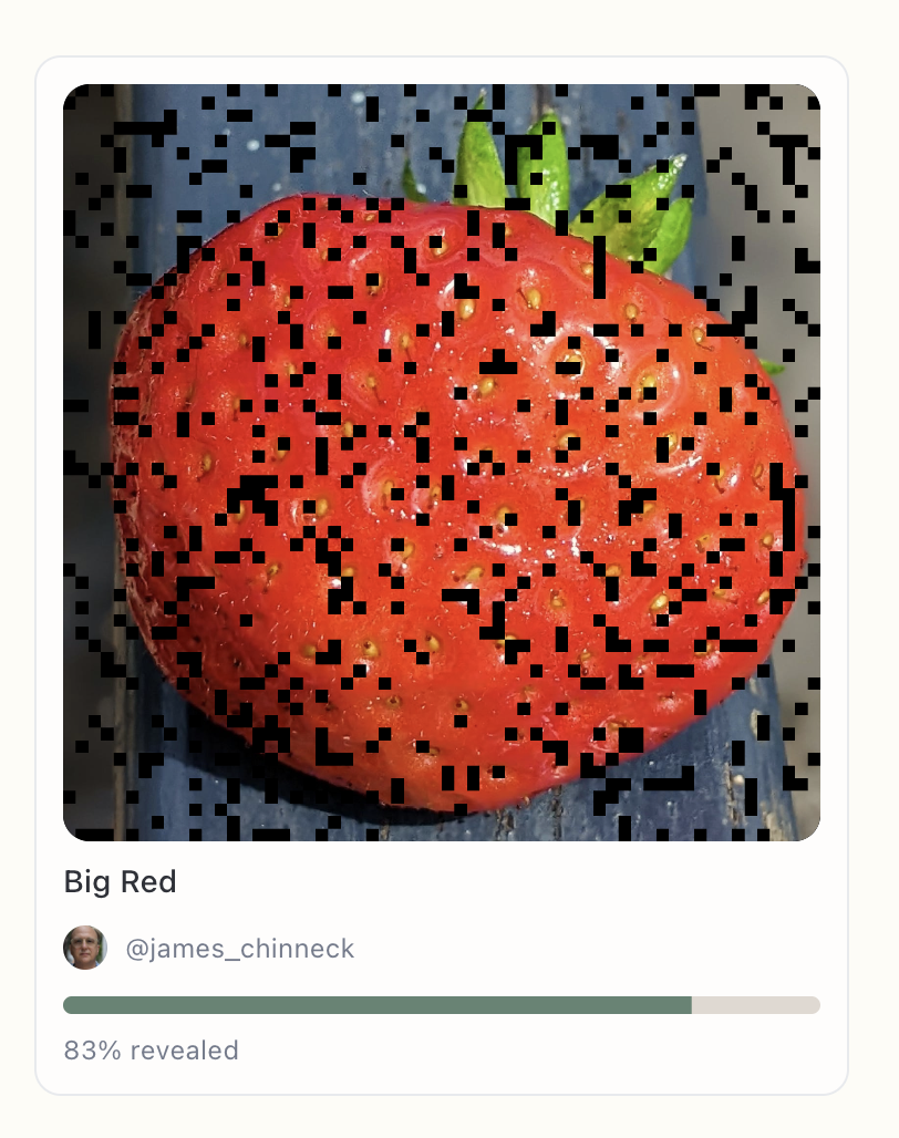 Slow social media, time-release images  - Screenshot 3 preview