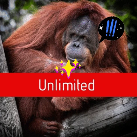 Leadvob- Unlimited B2B Leads