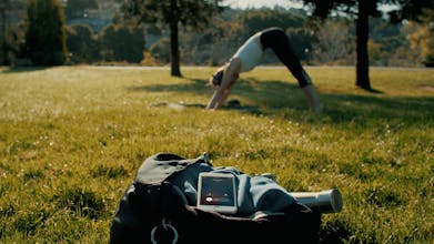 Paigey notifier gallery image