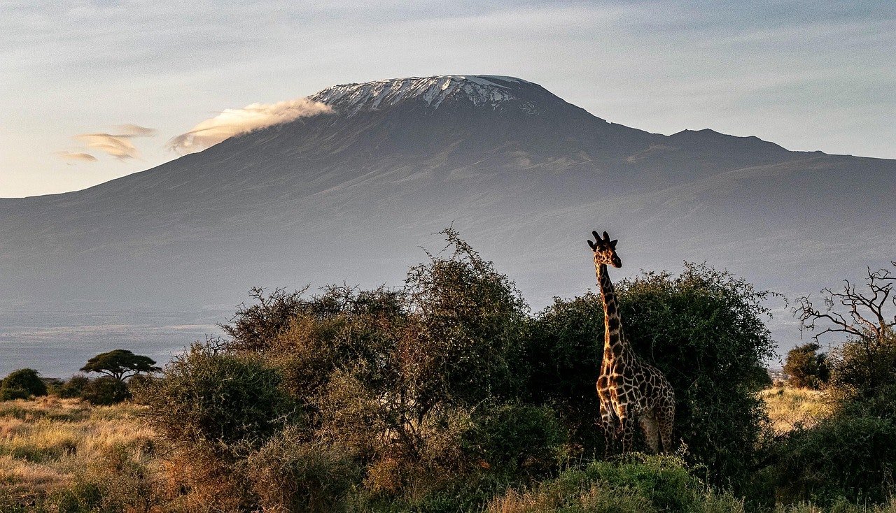 Africantrust Safari gallery image