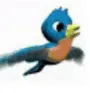 Falcon (Search Engine) gallery image