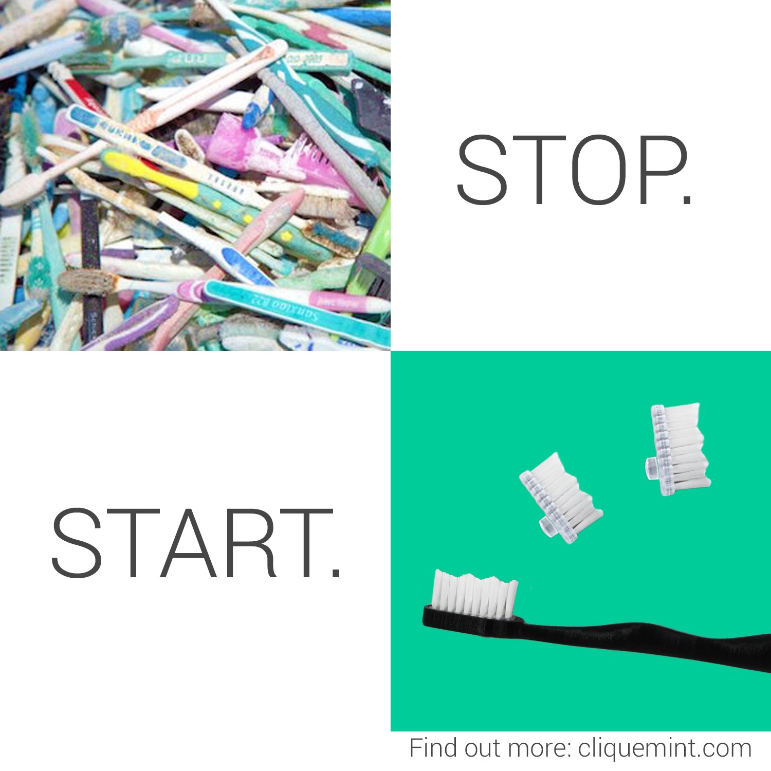 Cliquemint gallery image