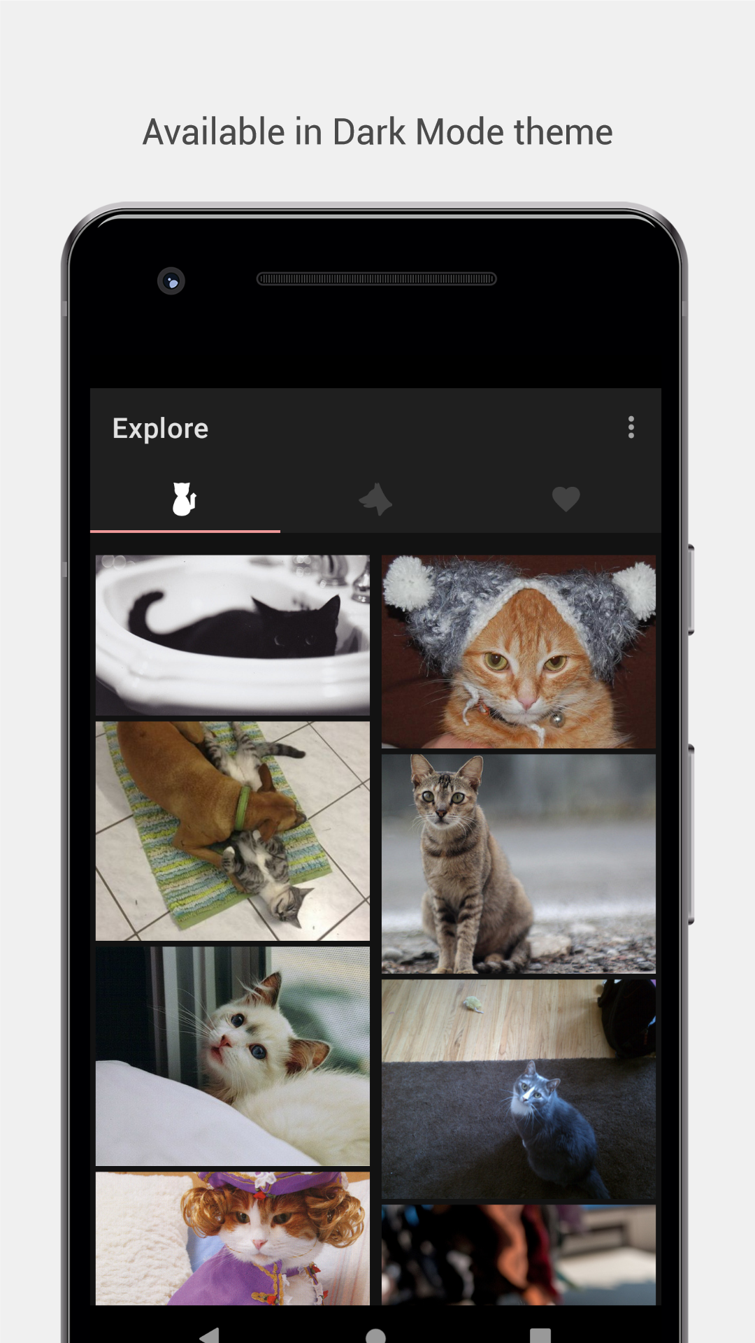 Purrito gallery image