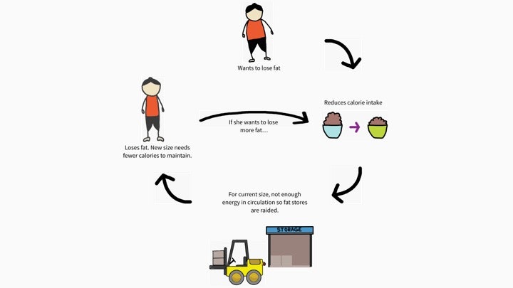 FREE Lose Fat, Build Muscle, Enjoy Life course gallery image