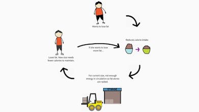 FREE Lose Fat, Build Muscle, Enjoy Life course gallery image