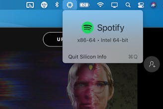 Silicon Info for Apple Silicon gallery image