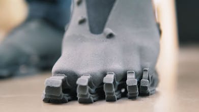 The Cryptide gallery image