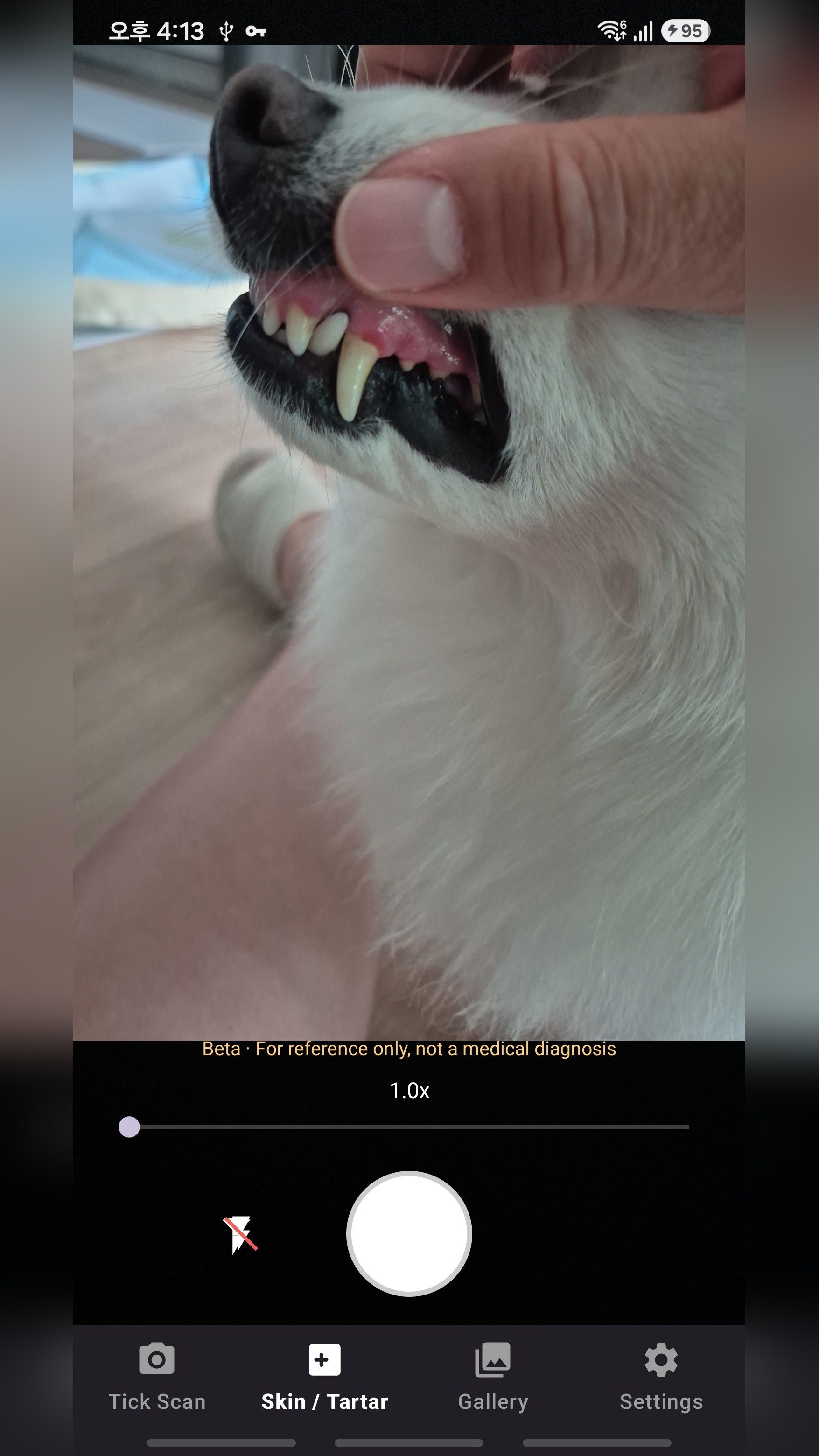 TickScanner gallery image