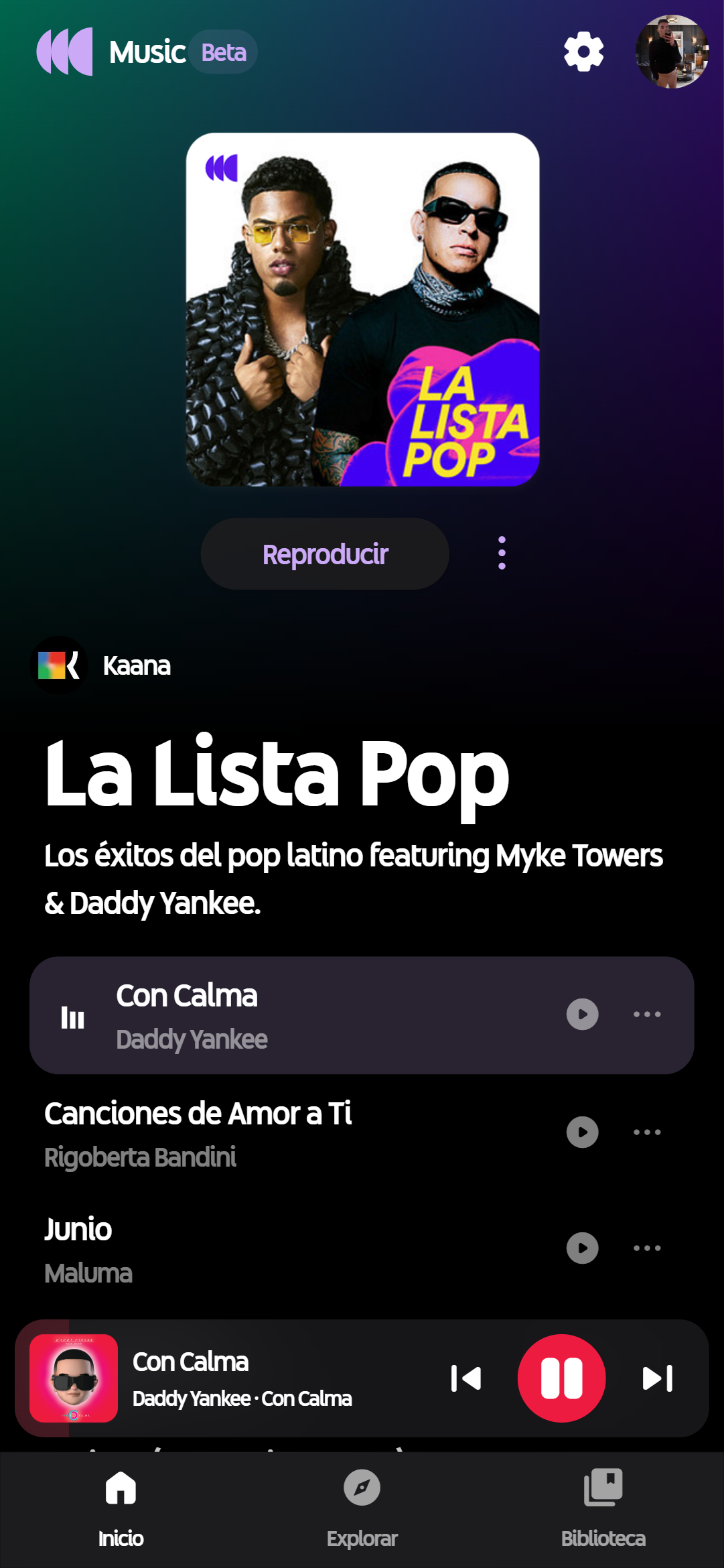 Kaana Music media 2
