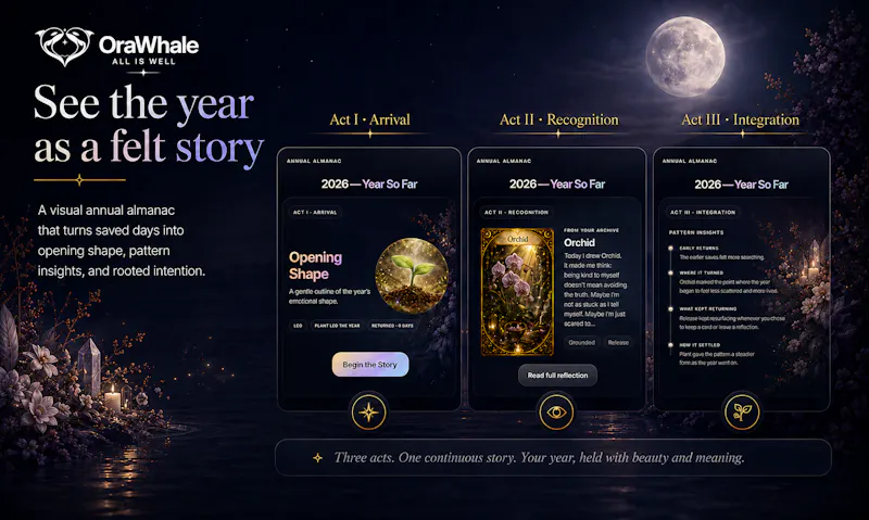 OraWhale screenshot 8