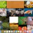 John's Background Switcher