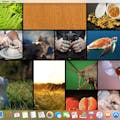 John's Background Switcher