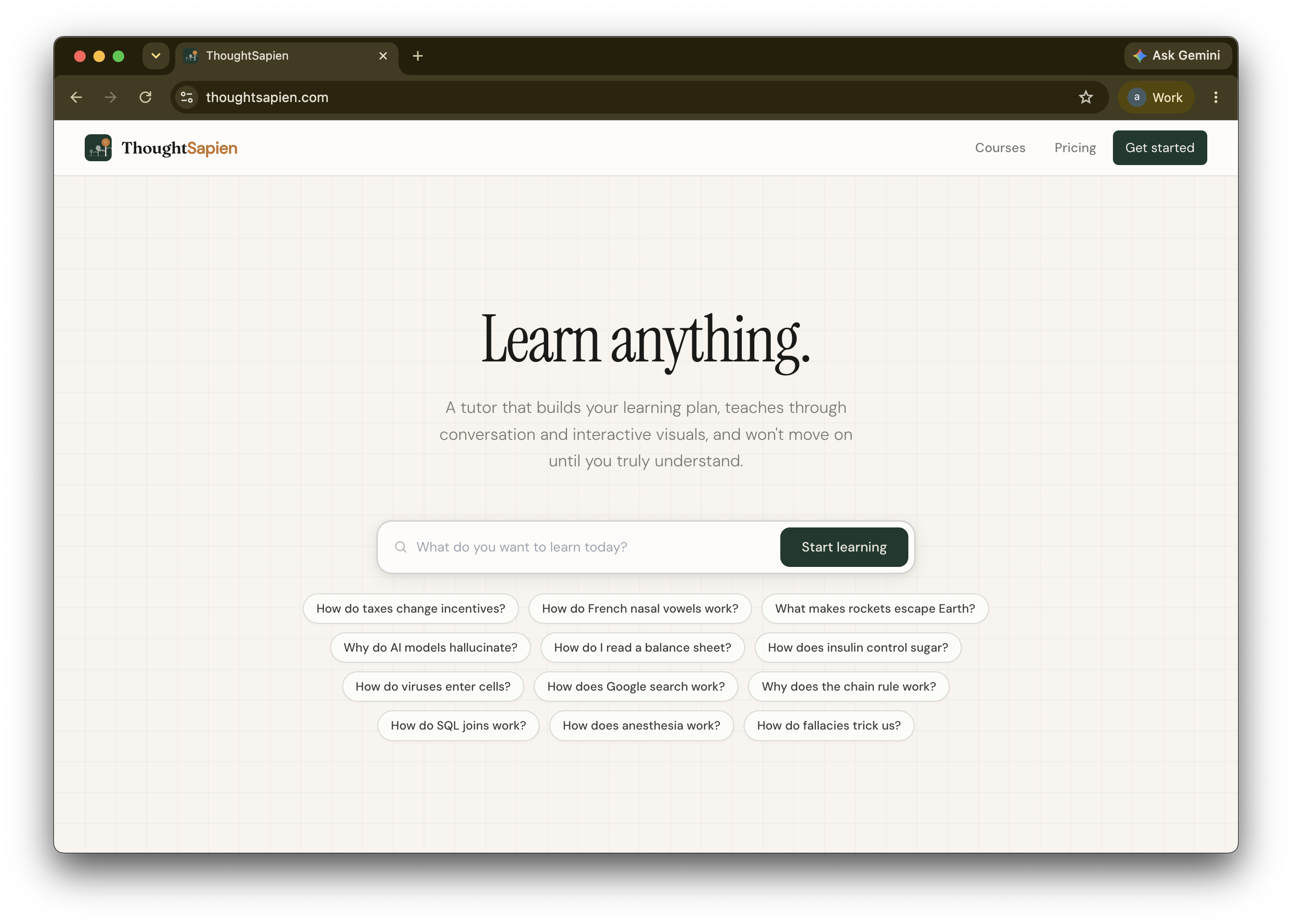 ThoughtSapien gallery image