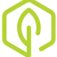 TinySeed