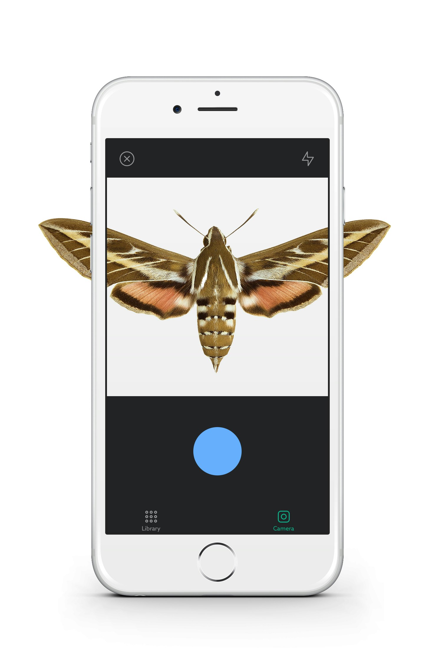 Fieldguide gallery image
