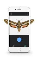 Fieldguide gallery image