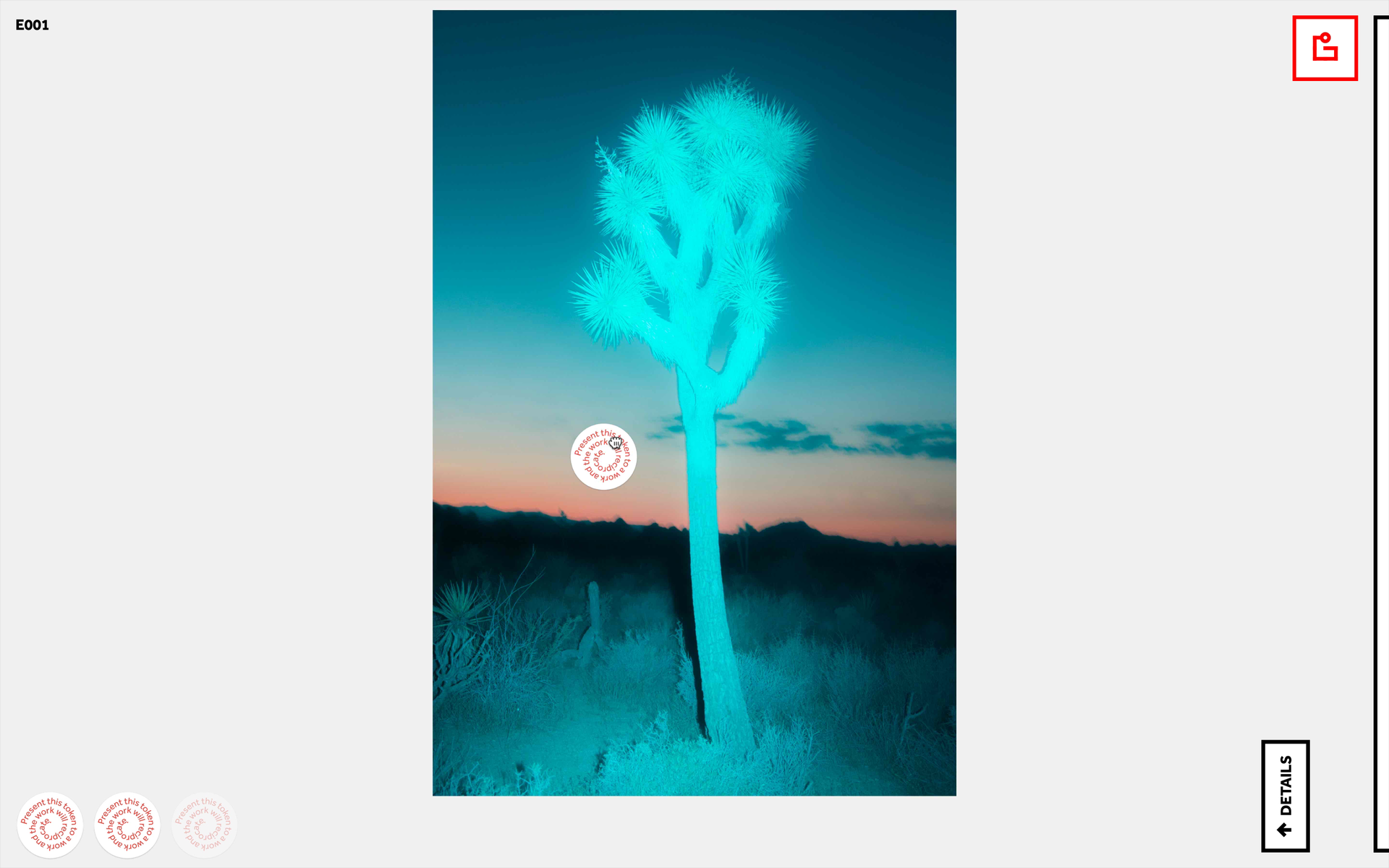 dot.gallery gallery image