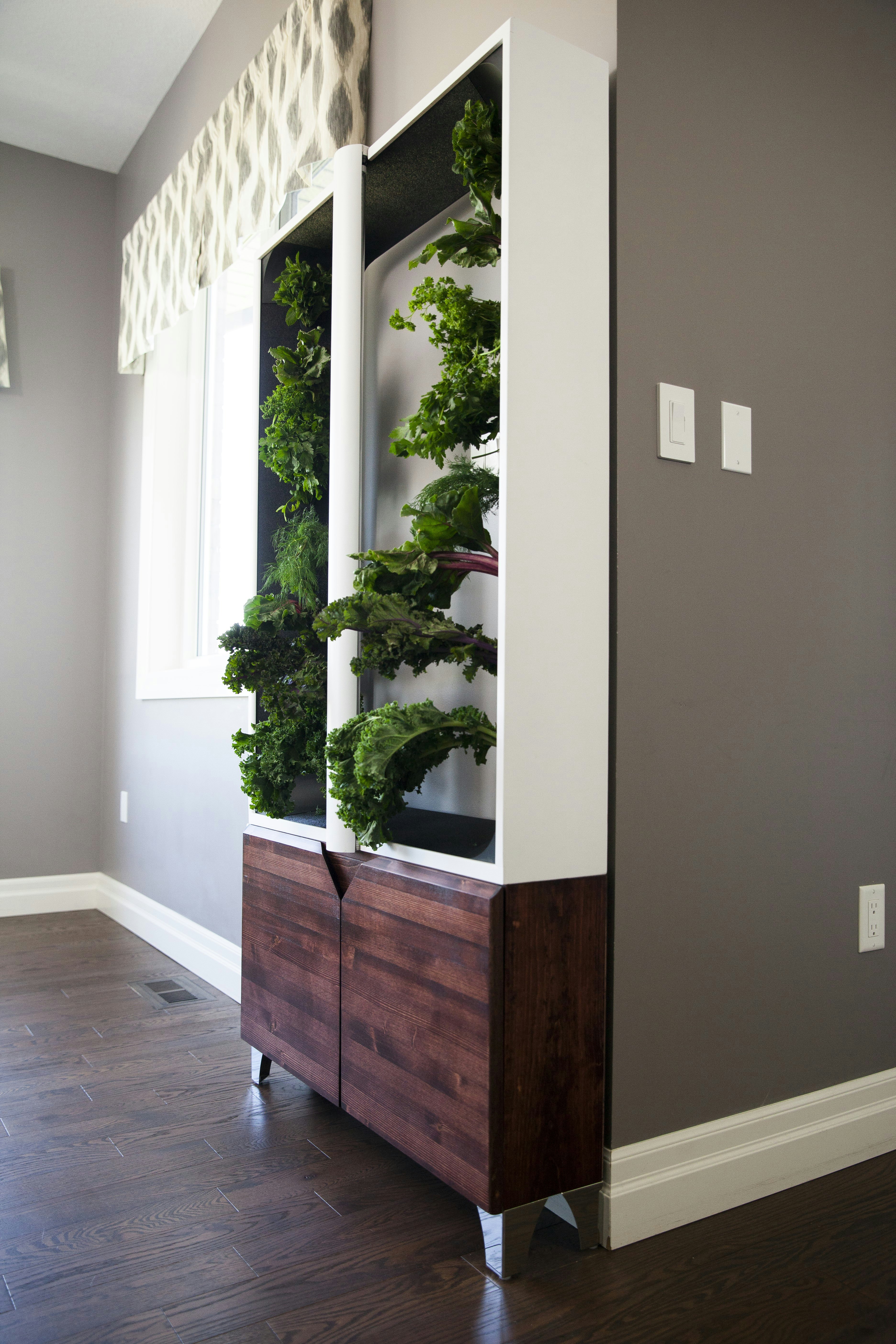 The EVE gallery image