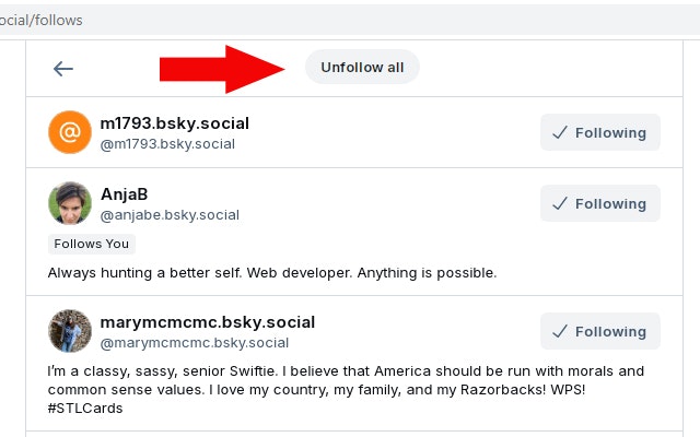 Bluesky Booster - Mass follow, mass unfollow, and mass like on Bluesky. media 2