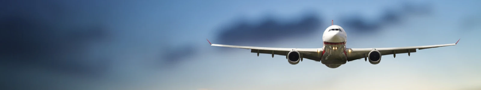 George Willaman cover