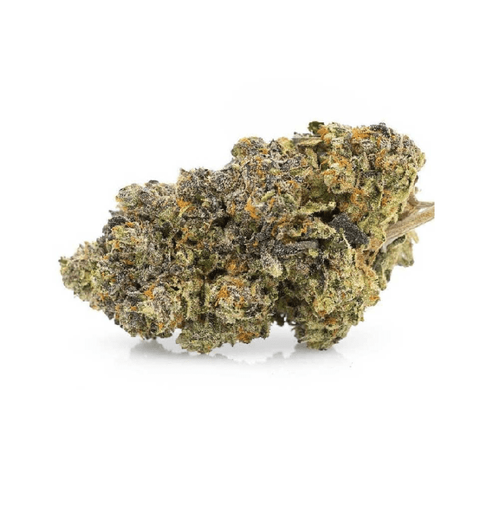 buy gelato strain online latino 
