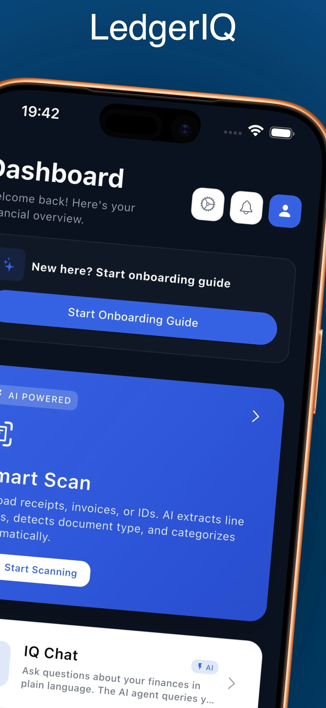 LedgerIQ gallery image