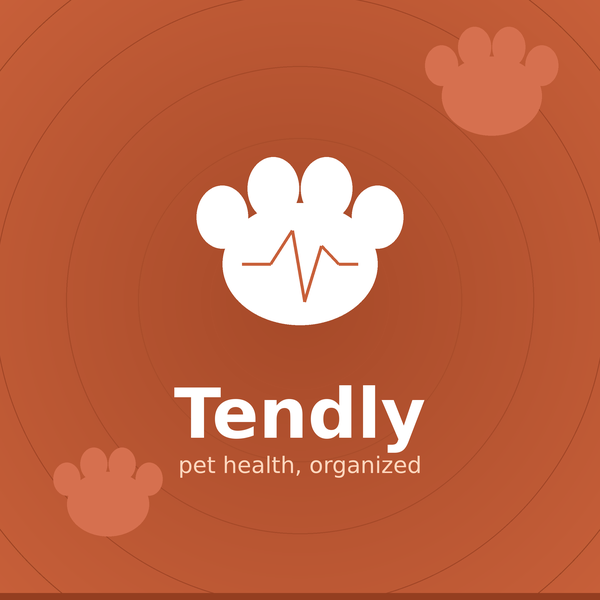 Tendly Pet  - Product Hunt launch logo and brand identity