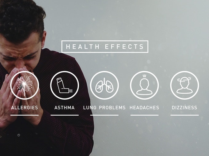 Clairy gallery image