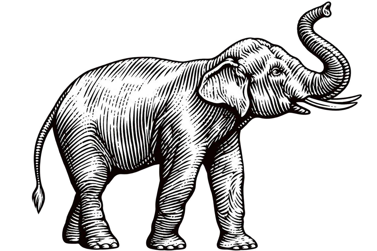 Elephant screenshot 5