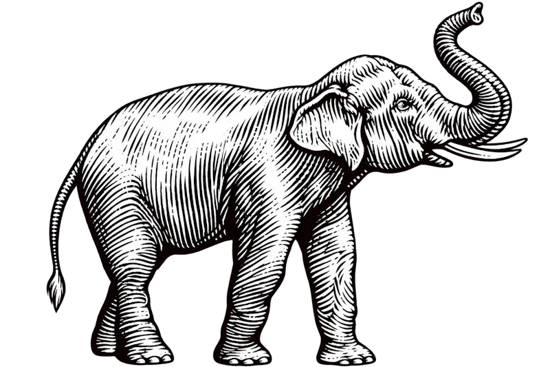 Elephant screenshot 5
