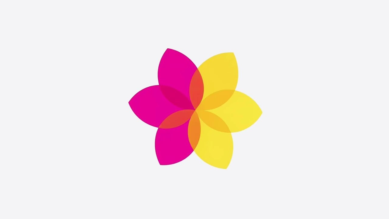 Harmony gallery image