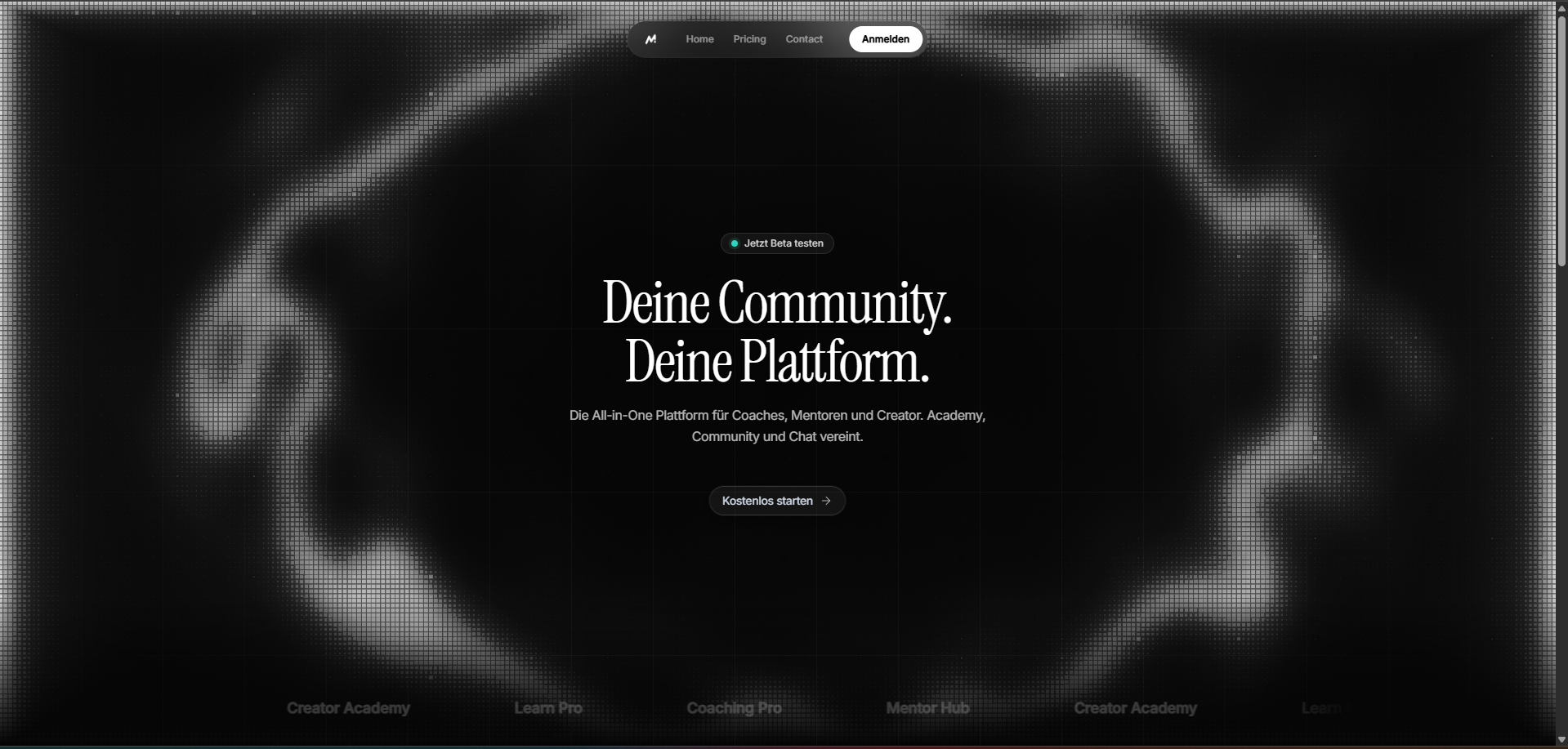 MentorSpace gallery image