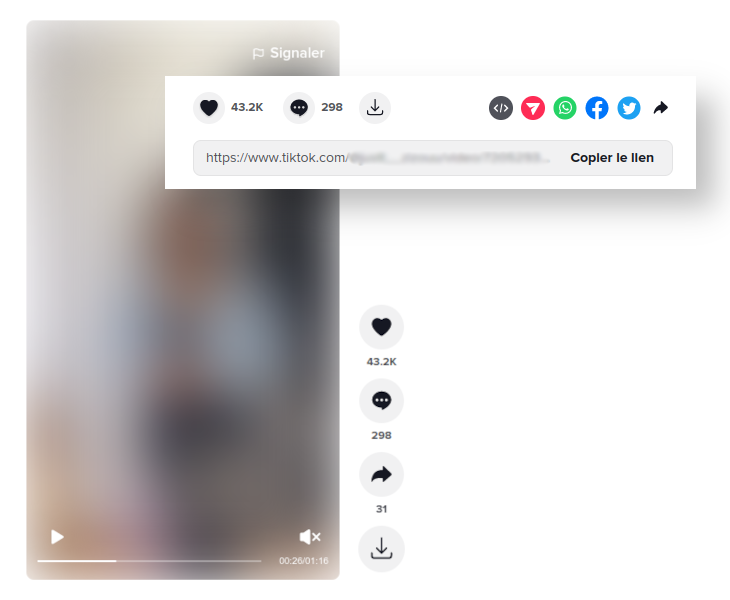 Tik Downloader gallery image