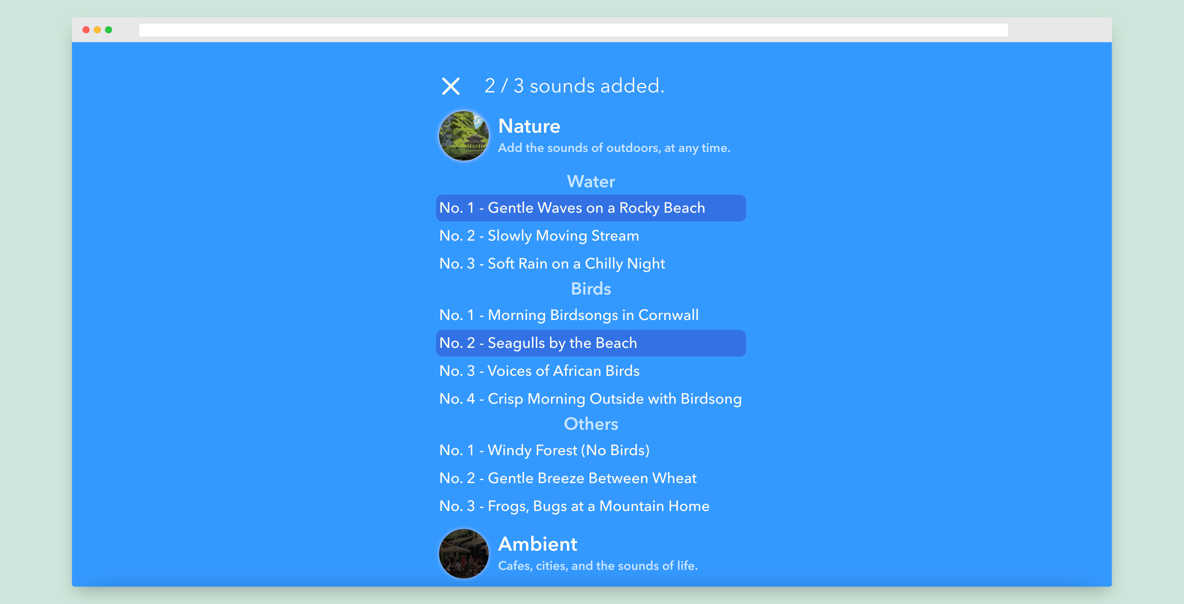 Dot Focus gallery image