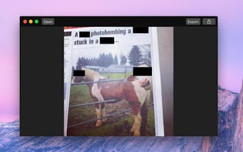 Black Out gallery image