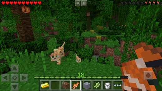 Minecraft: Pocket Edition Mobile App Review - RobustTechHouse