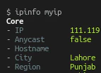 IPinfo CLI