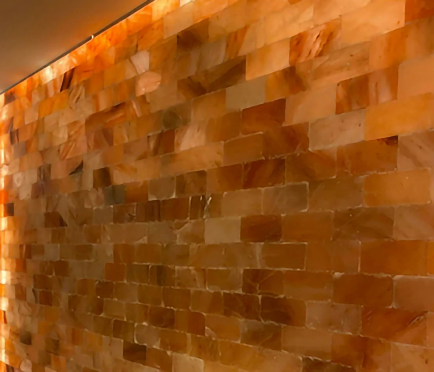 Build Salt Wall gallery image