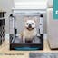 Revol Dog Crate + Snooz Pad: A Dog Crate Revolution