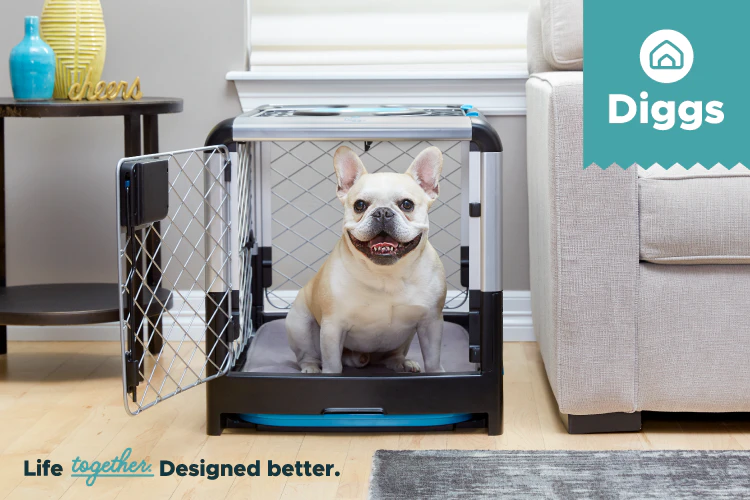 Revol Dog Crate + Snooz Pad: A Dog Crate Revolution