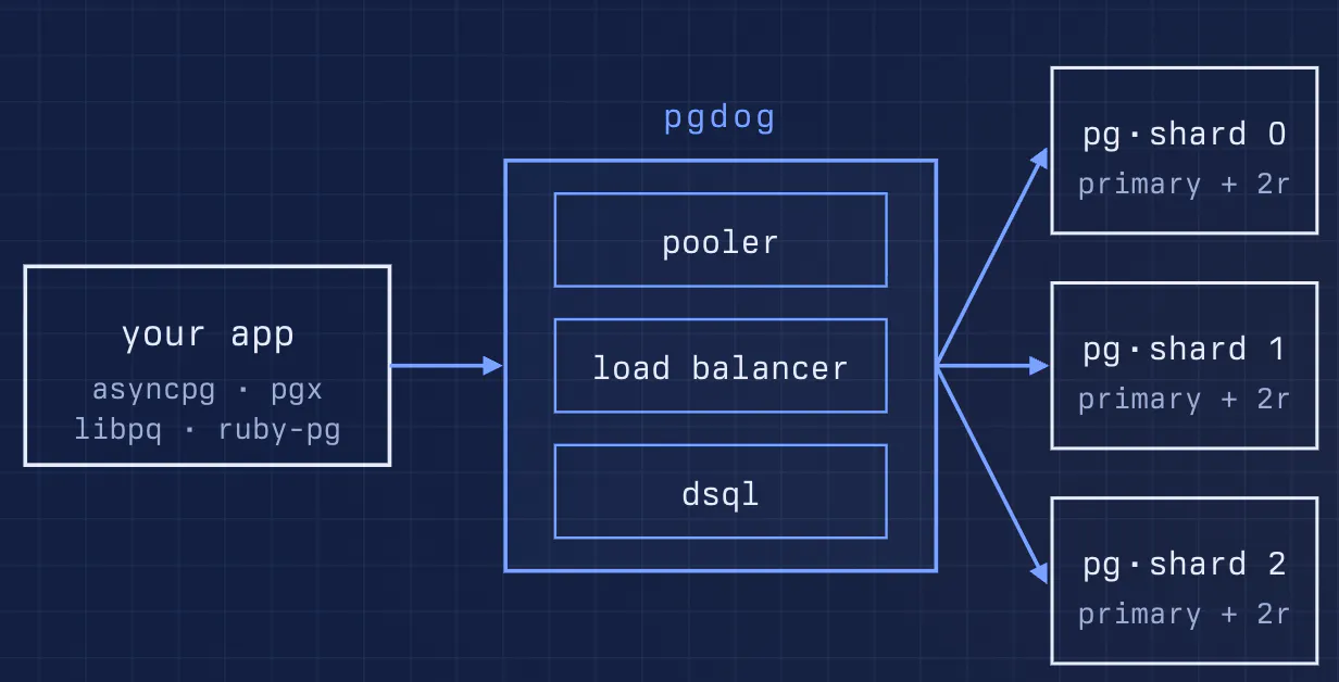 PgDog gallery image