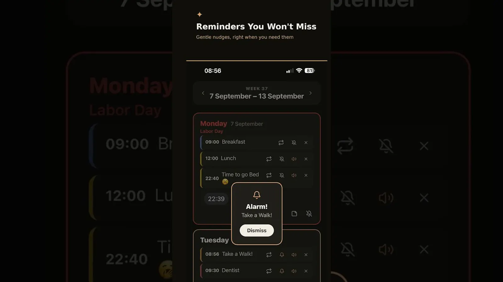 WeekSpark screenshot 1 (video preview)