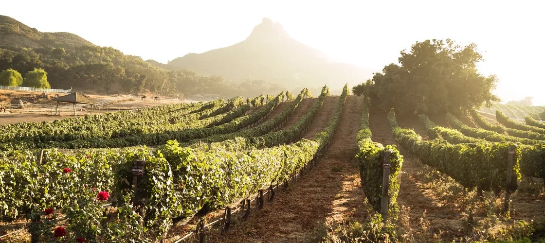 Soil Microbe Testing in USA gallery image