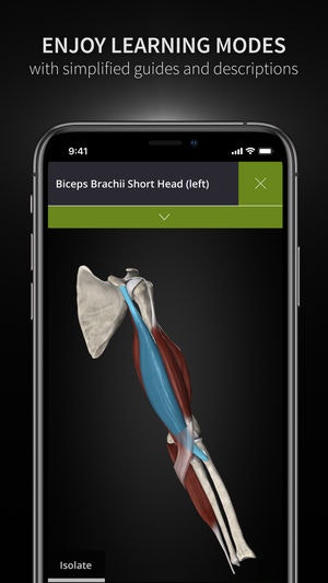 Anatomyka gallery image