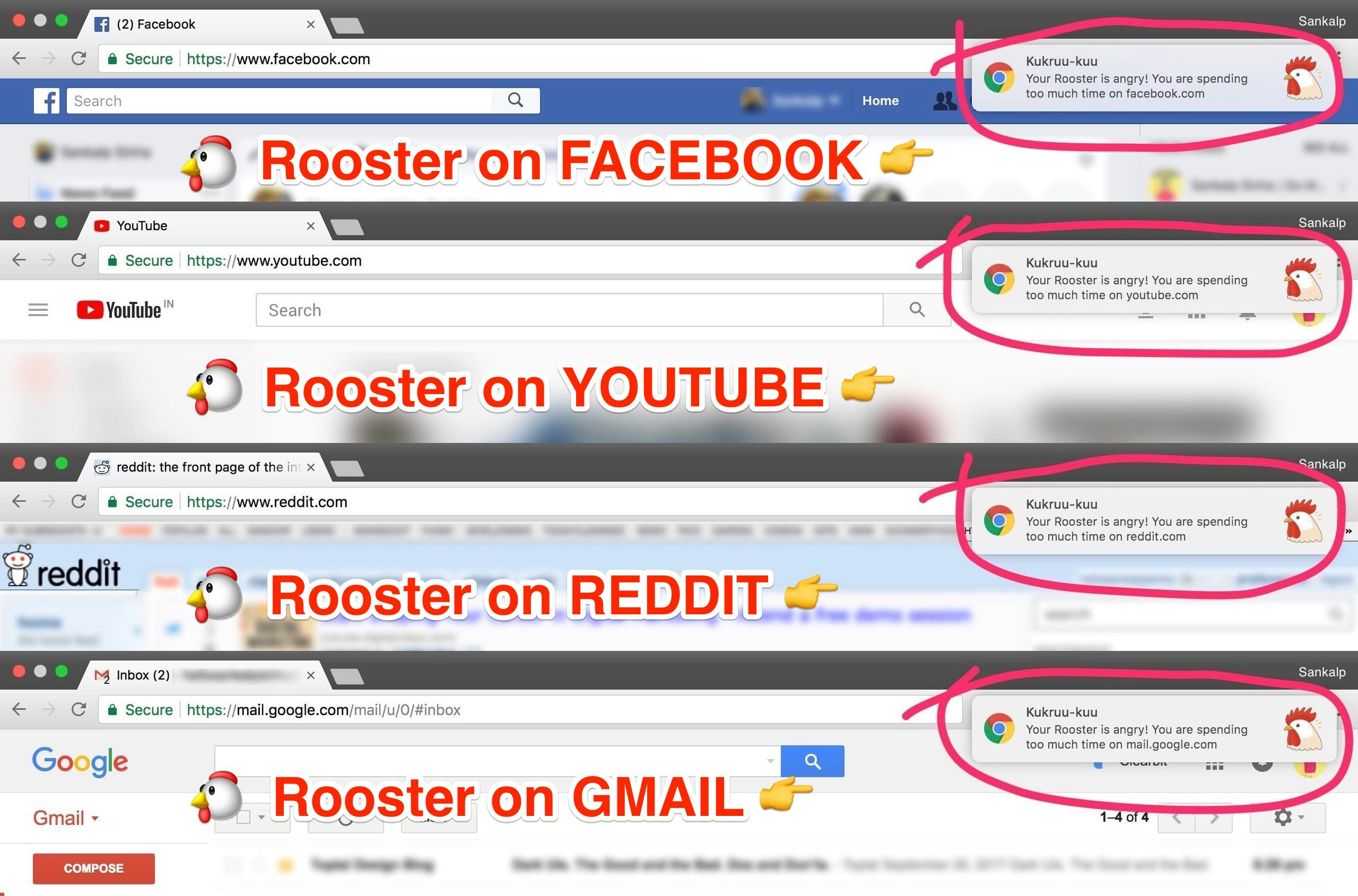 Rooster gallery image