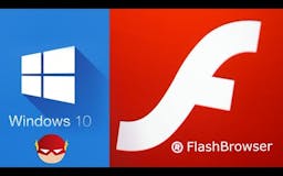 flash browser media 1