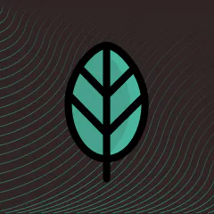 Carbon Offsets on Black Friday