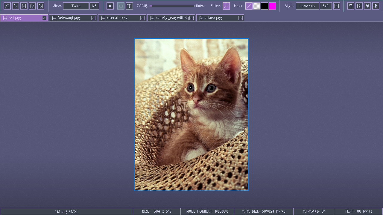 rtexViewer media 3