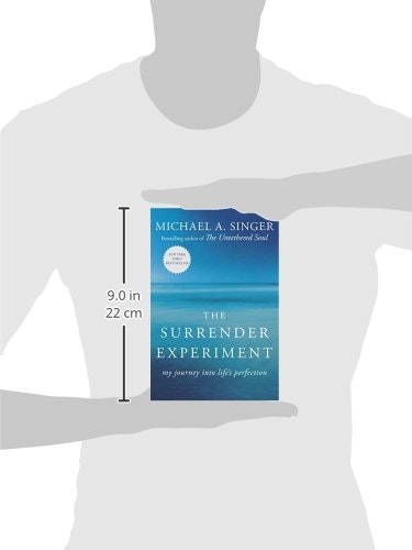 The Surrender Experiment  gallery image