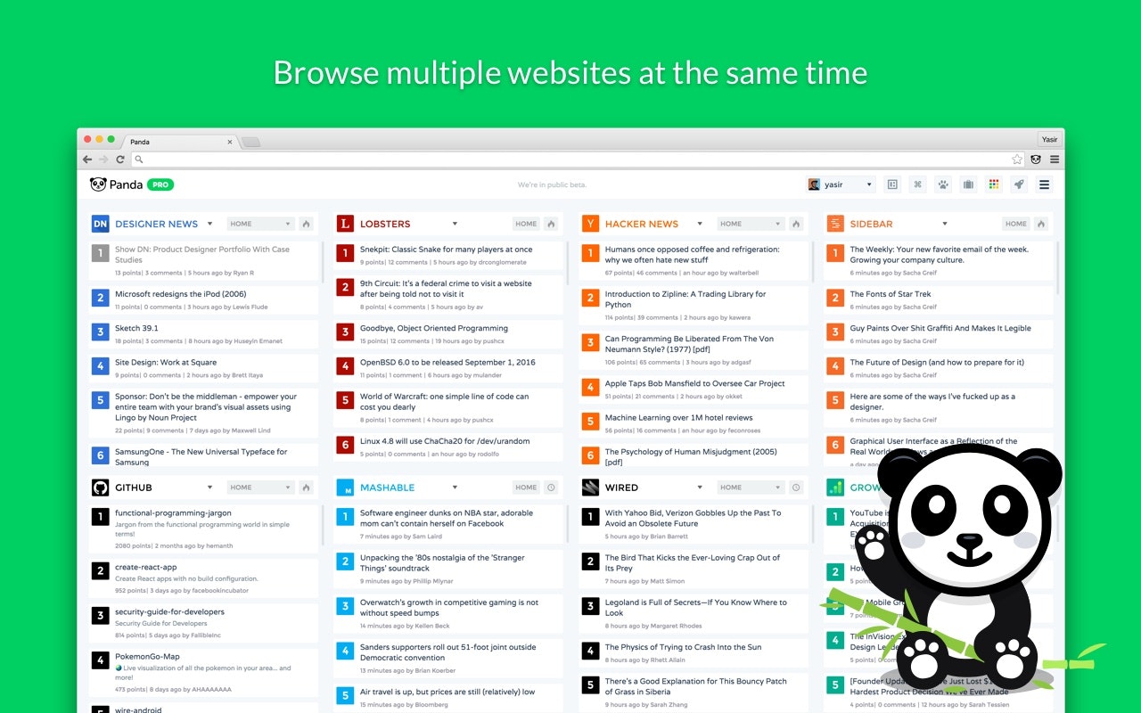 Panda 5 Beta gallery image